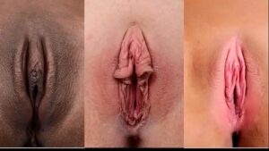 Porno vaginas
